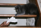 IMG_7971