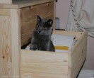 IMG_8539