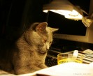 IMG_8568