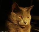 IMG_8569