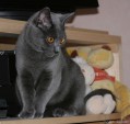IMG_9257