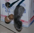 IMG_9285