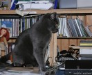 IMG_9290