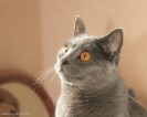 IMG_9851