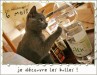 Les 6 mois de Brumi - Fevrier 2007