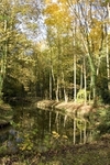 L'Automne � Osny